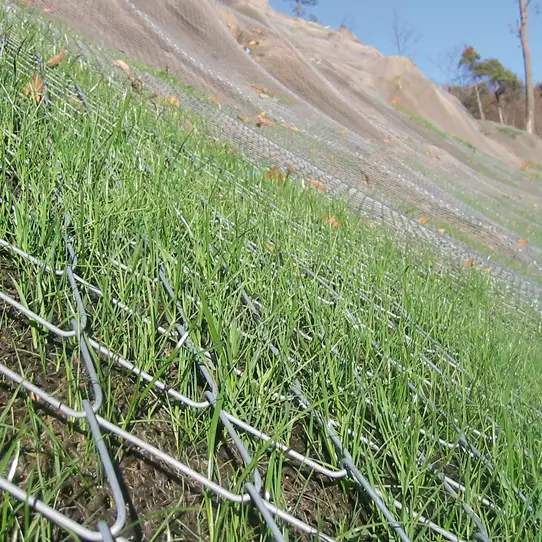 Protection against rodents