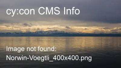 Norwin Vögeli, Global Ingress, Inc.