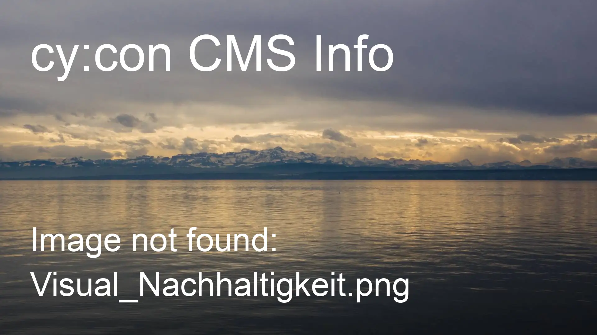 Our high-tensile chain-link mesh is now EPD-certified