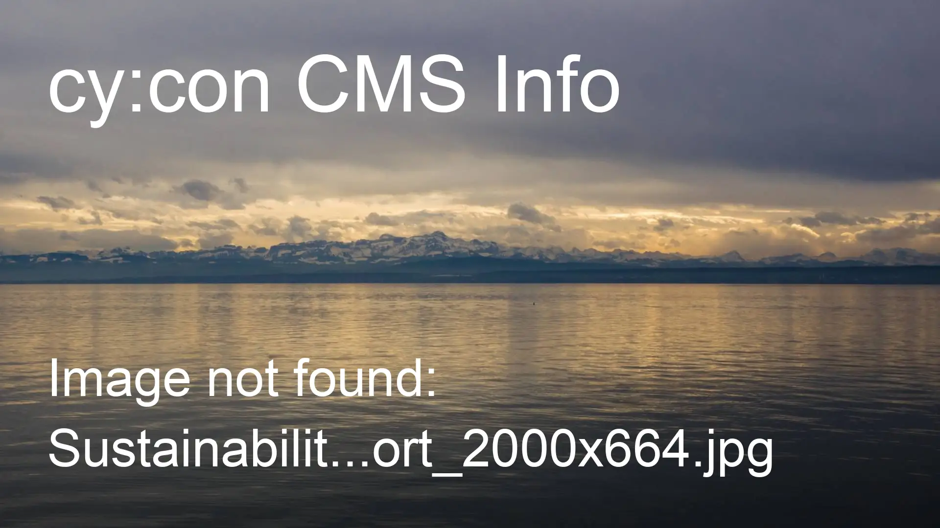 The BRUGG Group's first sustainability report