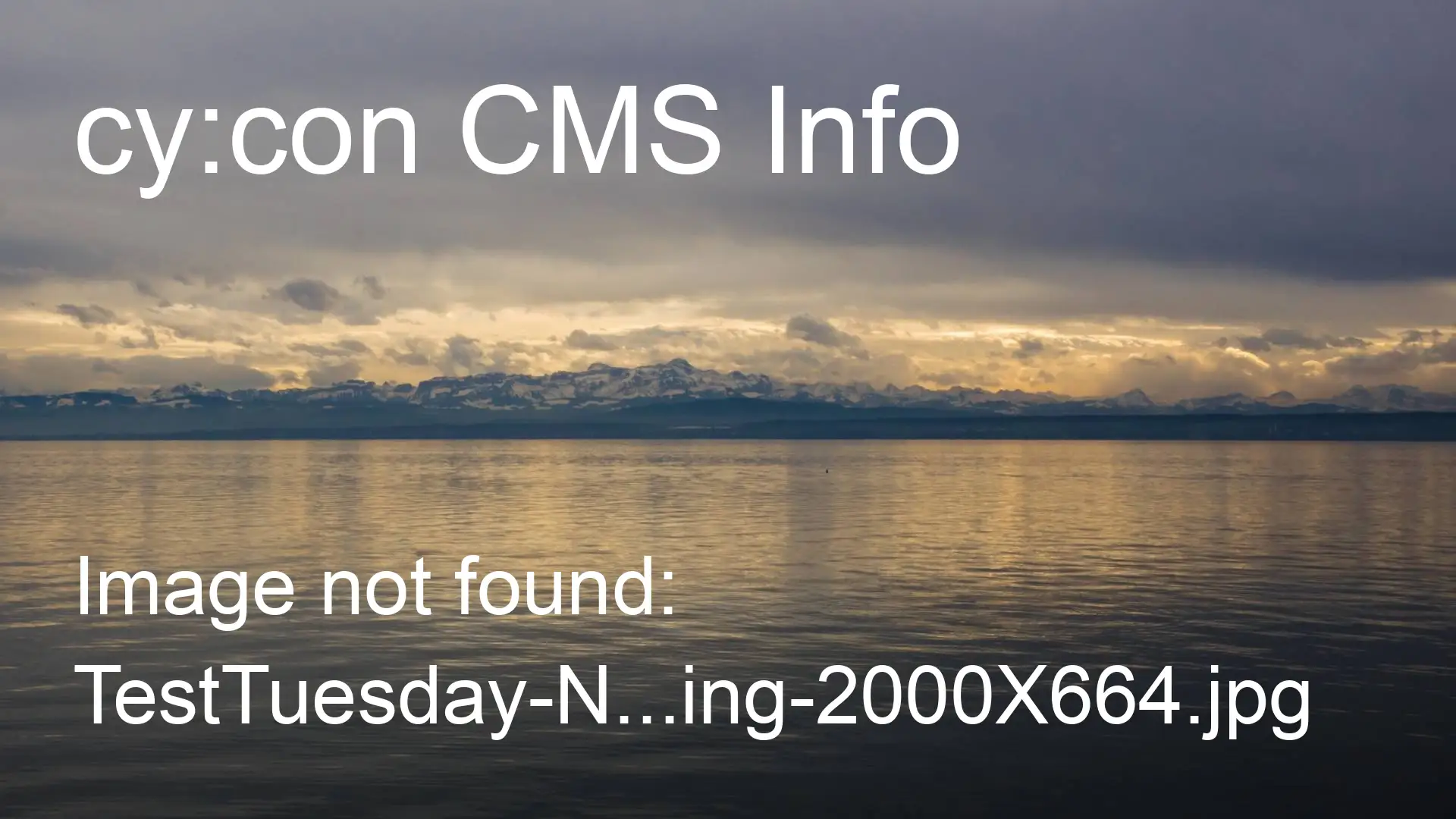 Over 20 years experience